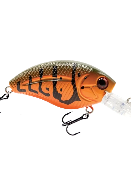 Livingston - Howeller DMC JR