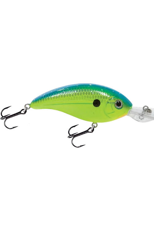 Livingston - Deep Impact 12