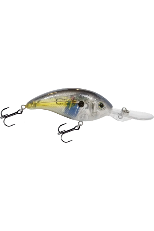 Livingston - Deep Impact 12