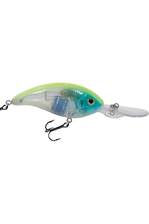 Livingston - Deep Impact 12