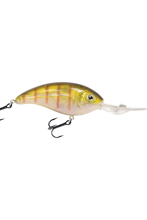 Livingston - Deep Impact 18