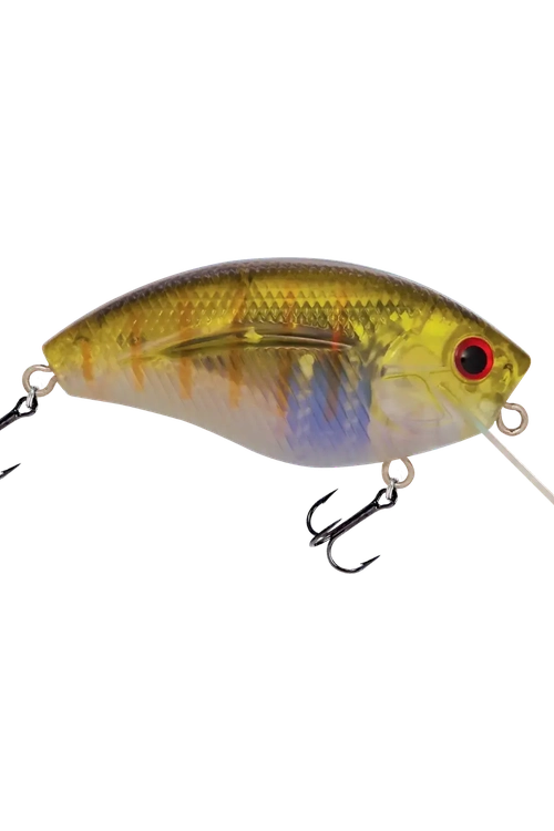 Livingston - Howeller DMC SQ