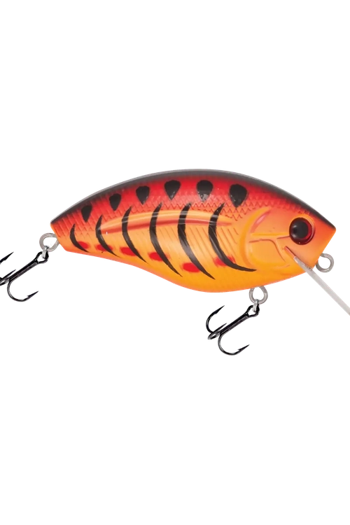 Livingston - Howeller DMC SQ