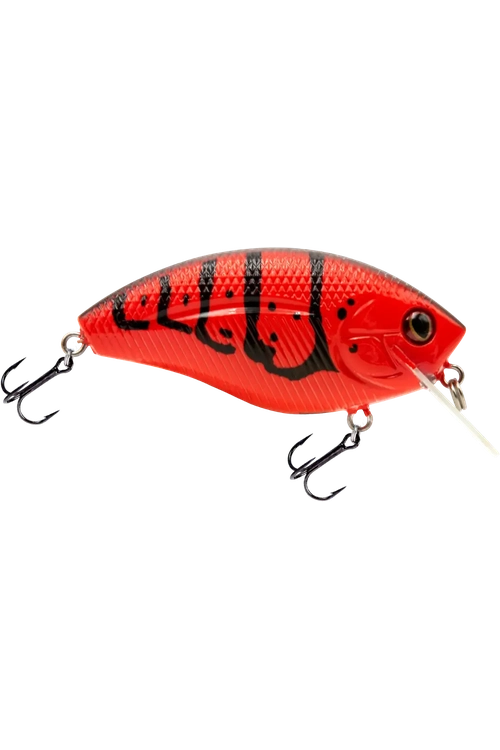 Livingston - Howeller DMC SQ