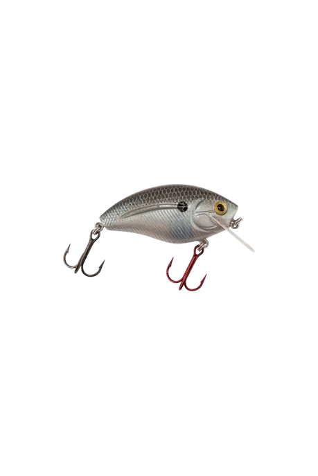 Livingston - Howeller DMC SQ