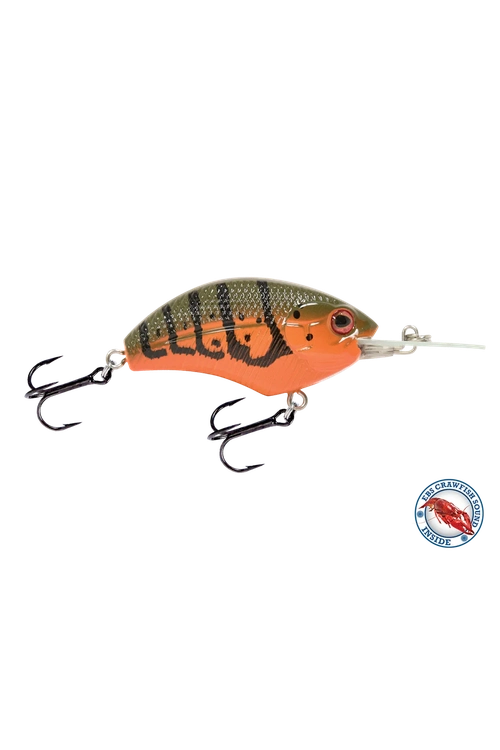 Livingston - Vapor (5 cm)