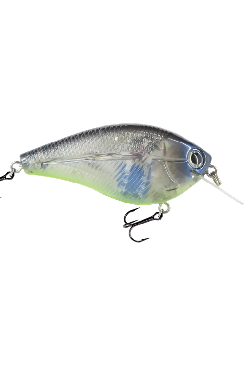 Livingston - Primetyme SQ 2.0