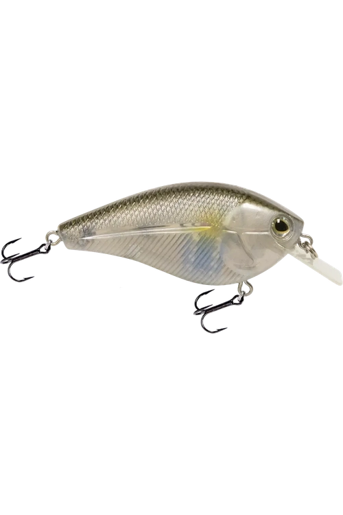 Livingston - Primetyme SQ 2.0