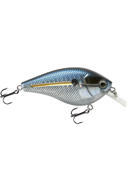 Livingston - Primetyme SQ 2.0