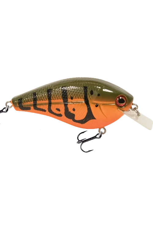 Livingston - Primetyme SQ 2.0