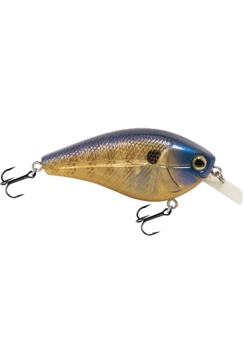 Livingston - Primetyme SQ 2.0