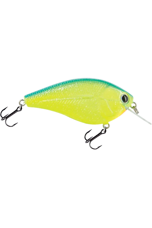 Livingston - Primetyme CB 2.0