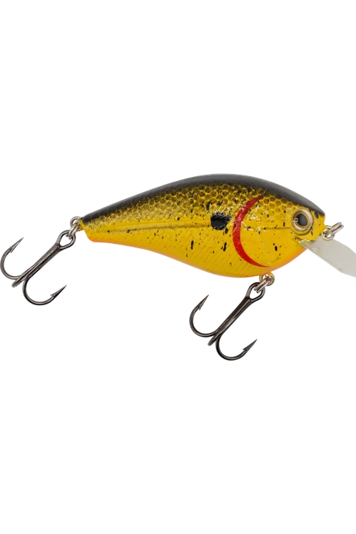 Livingston - Primetyme CB 2.0