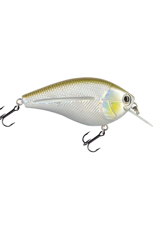 Livingston - Primetyme CB 2.0