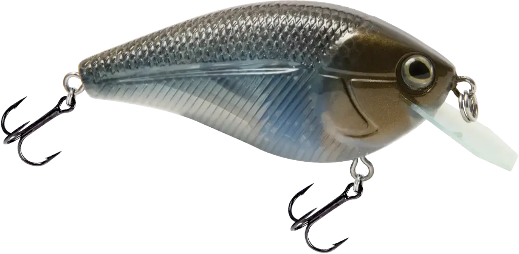 Livingston - Primetyme CB 2.0