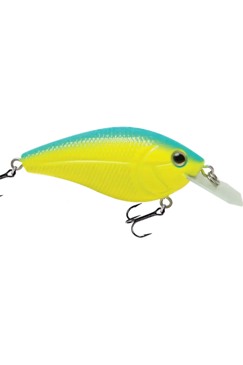 Livingston - Primetyme CB 1.5