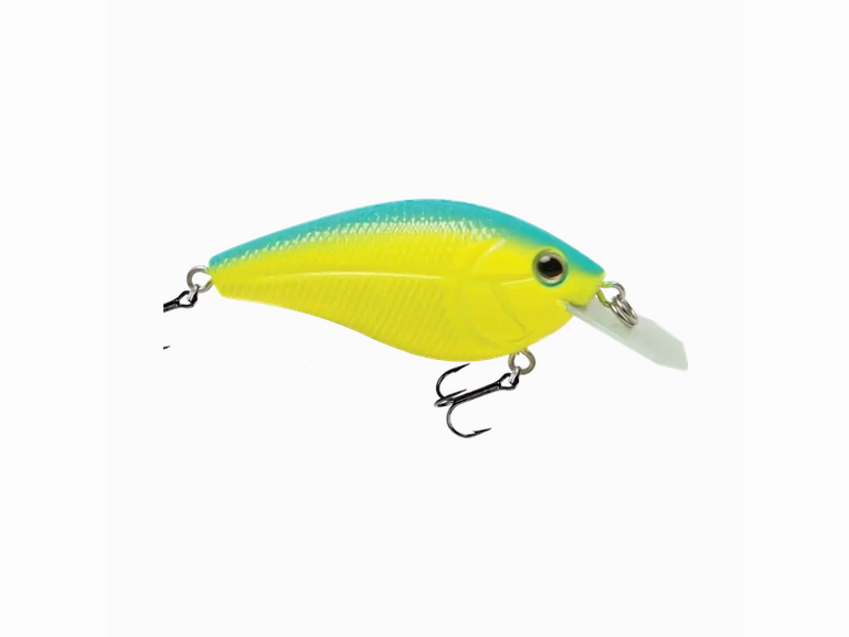 Livingston - Primetyme CB 1.5