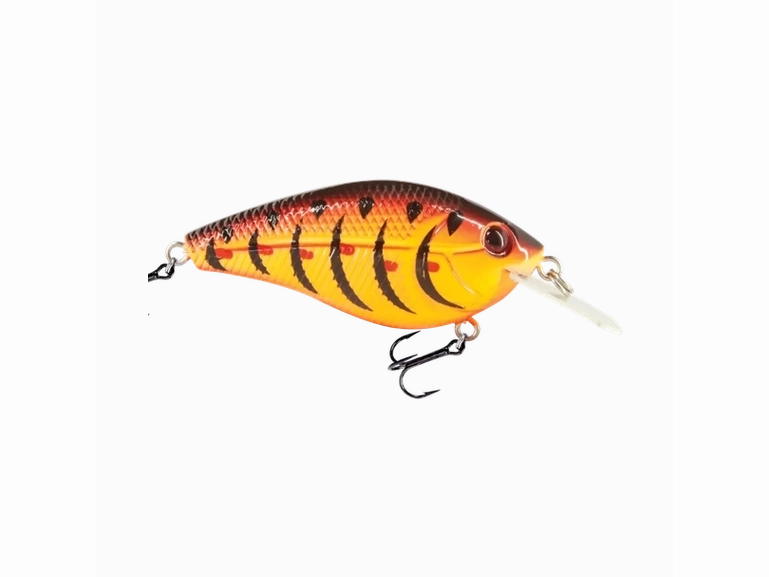 Livingston - Primetyme CB 1.5