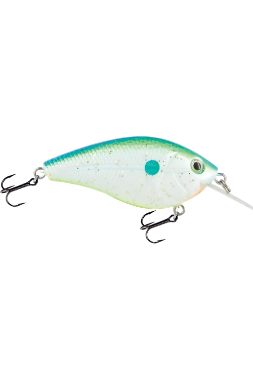 Livingston - Primetyme CB 1.5