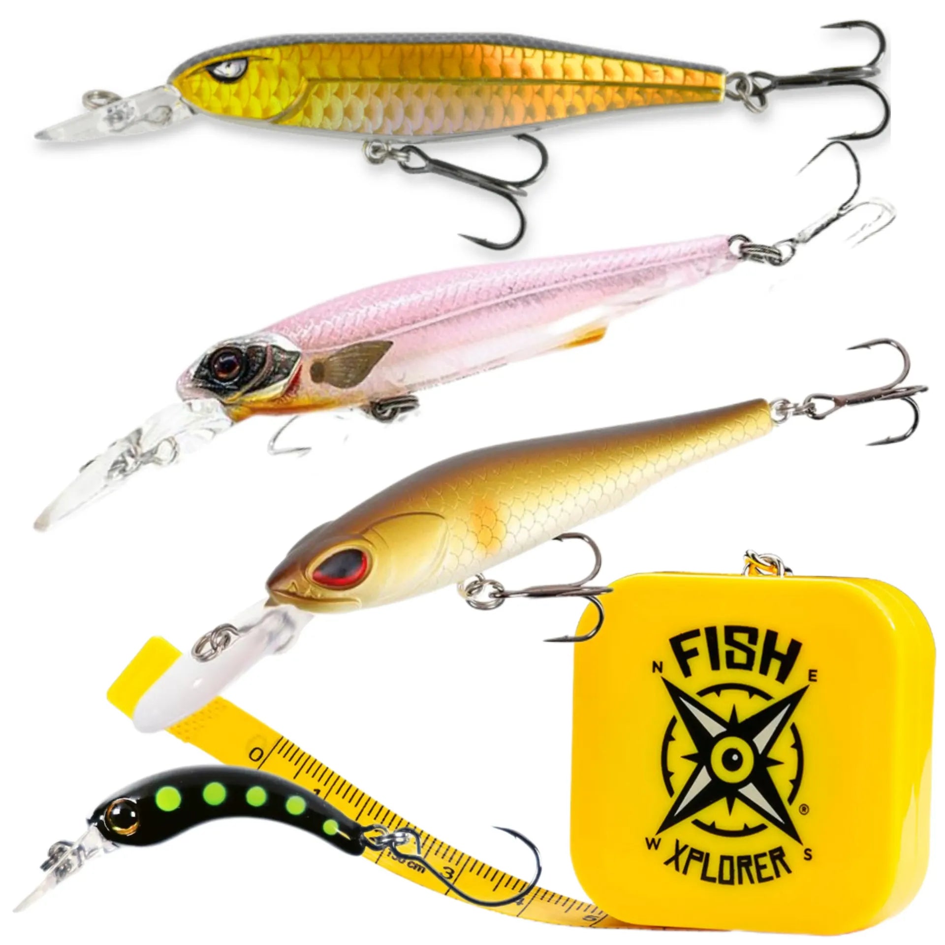 FishXplorer - Discovery Box Trout (Hardbaits)