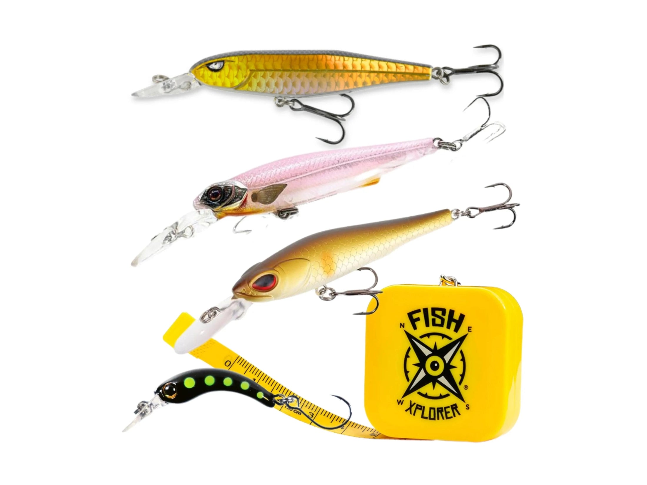 FishXplorer - Discovery Box Trout (Hardbaits)