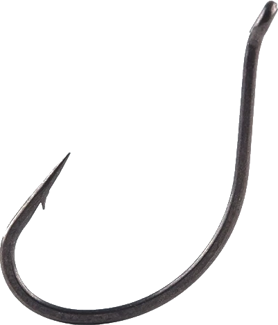 BKK - DSS-Worm