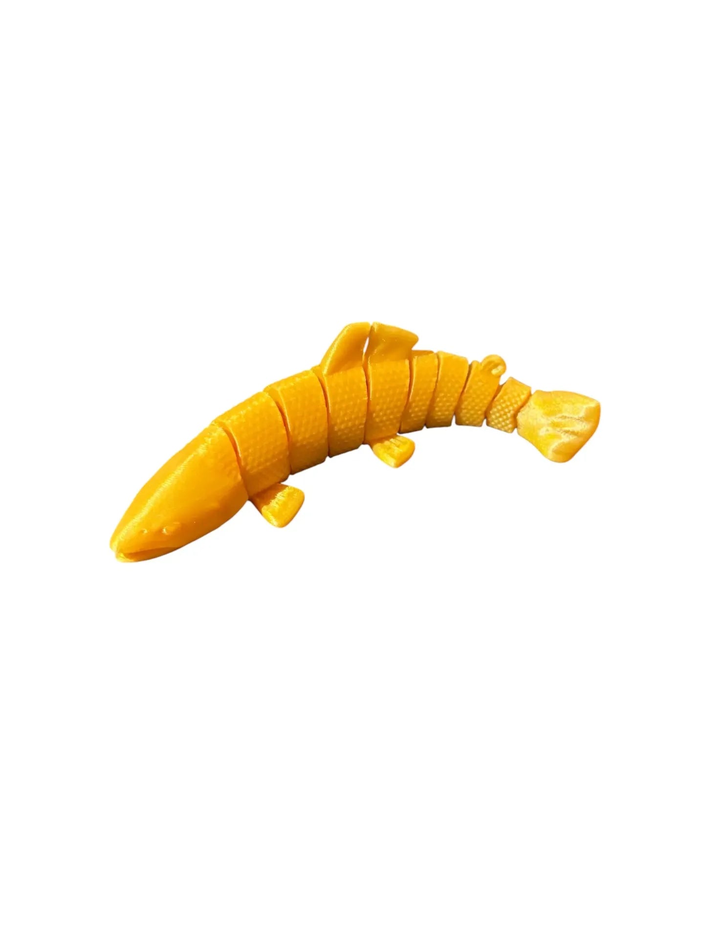 FishXplorer – 3D Flexi Trout
