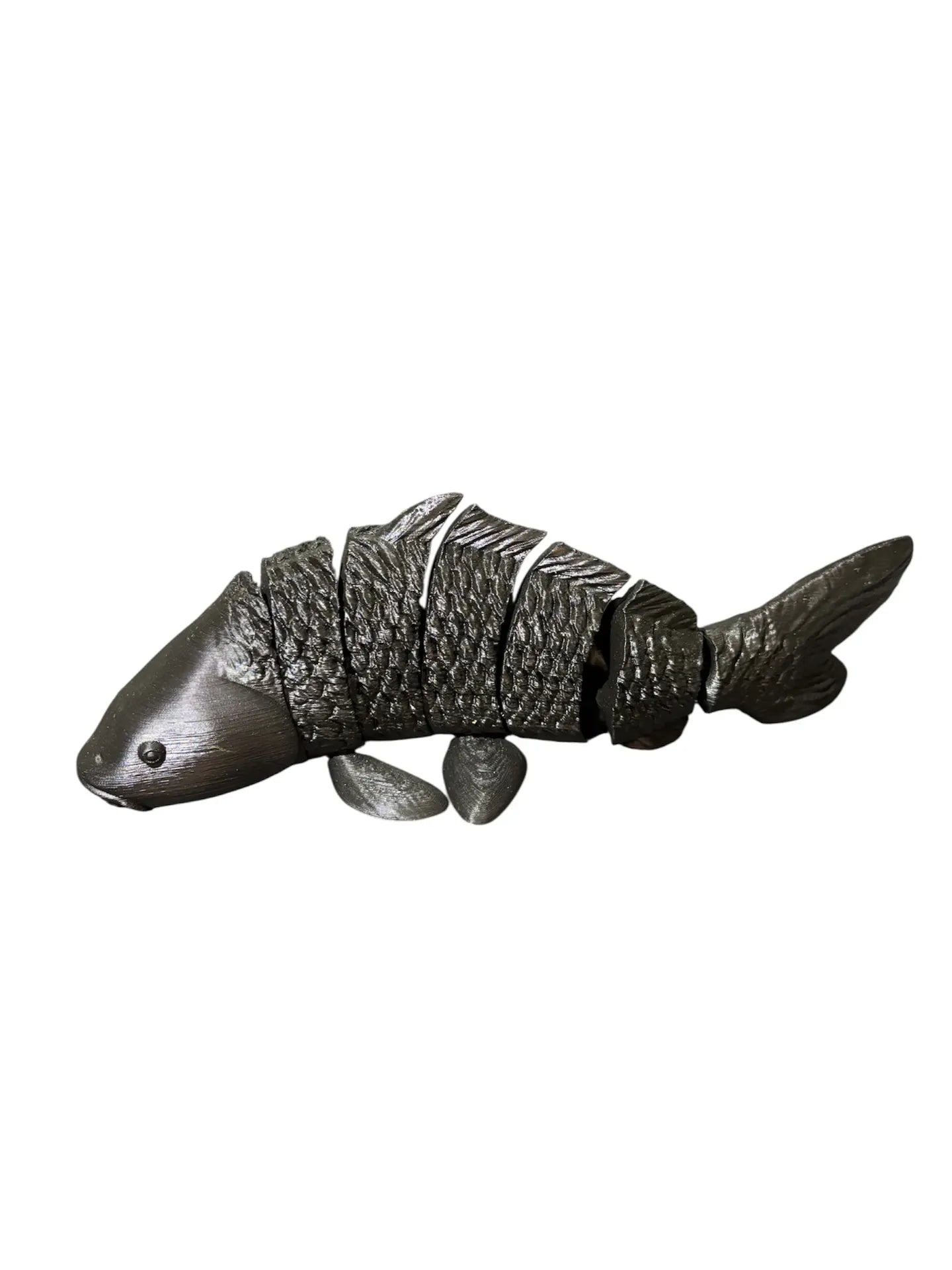 FishXplorer – 3D Flexi Carp