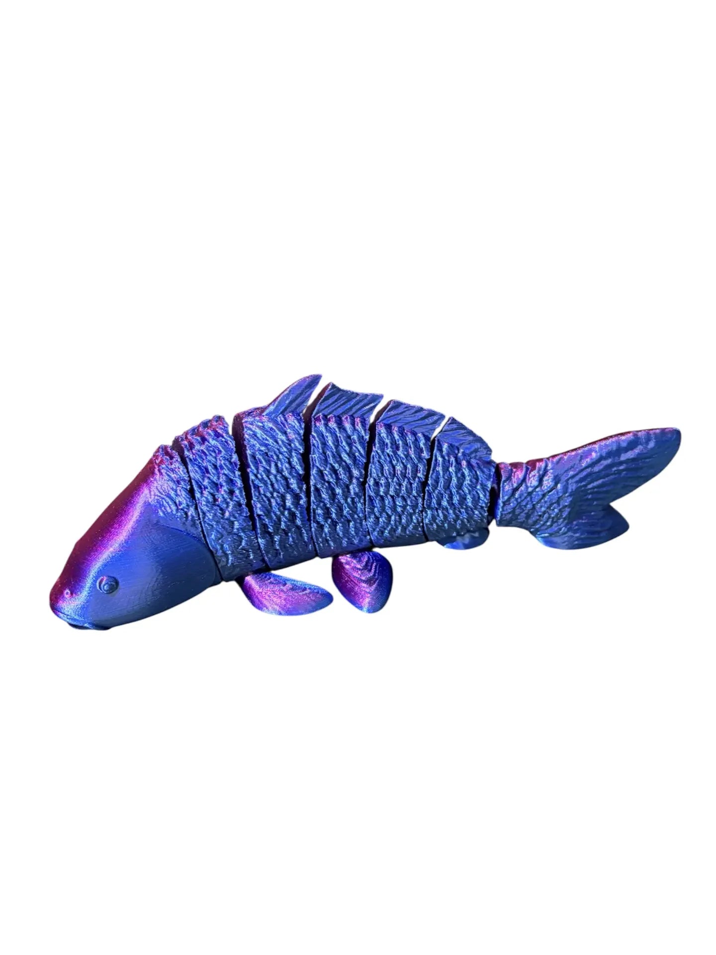 FishXplorer – 3D Flexi Carp