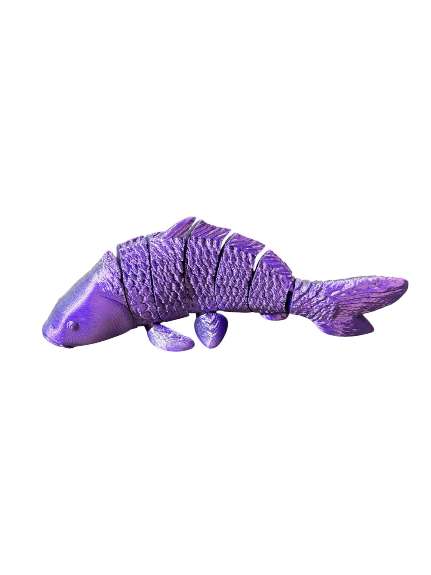FishXplorer – 3D Flexi Carp