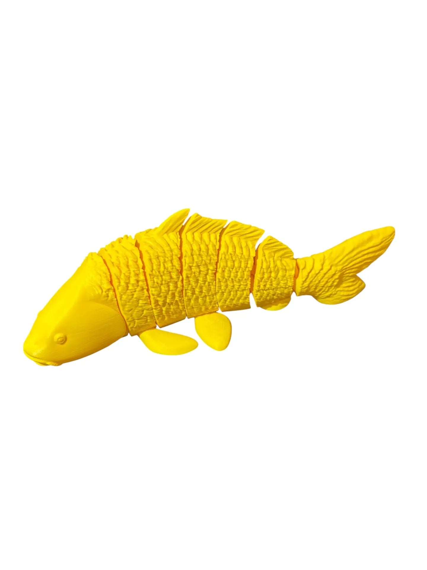 FishXplorer – 3D Flexi Carp