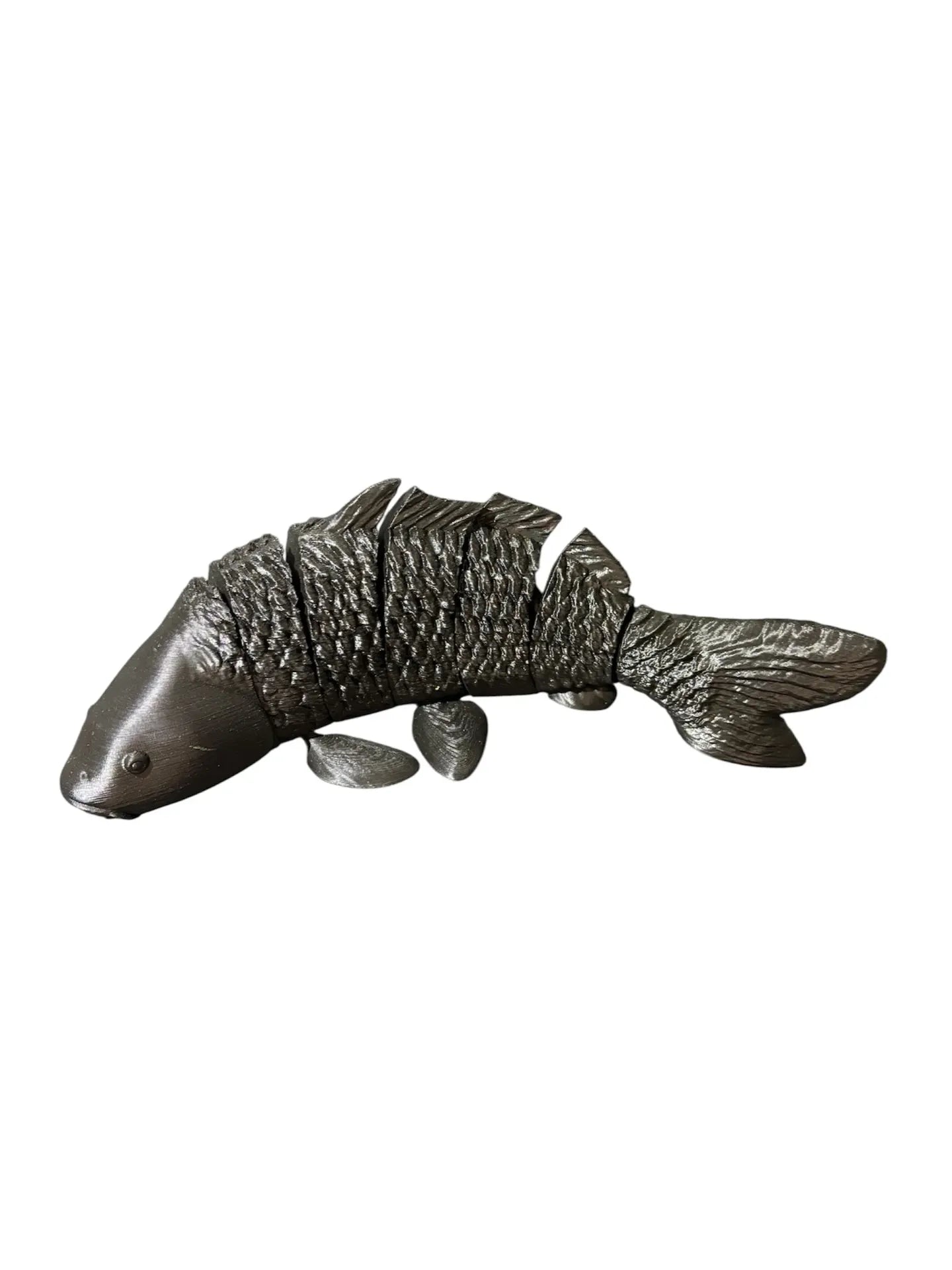 FishXplorer – 3D Flexi Carp