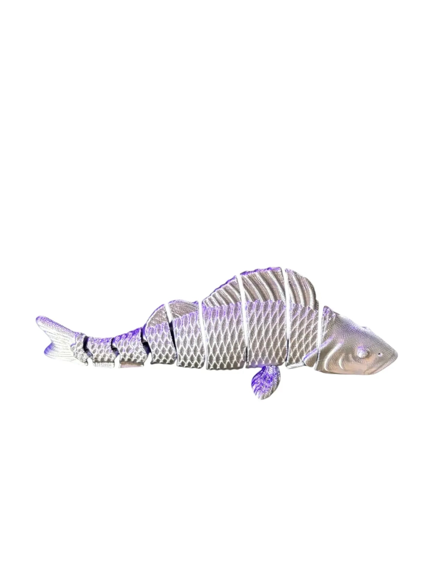FishXplorer – 3D Flexi Perch