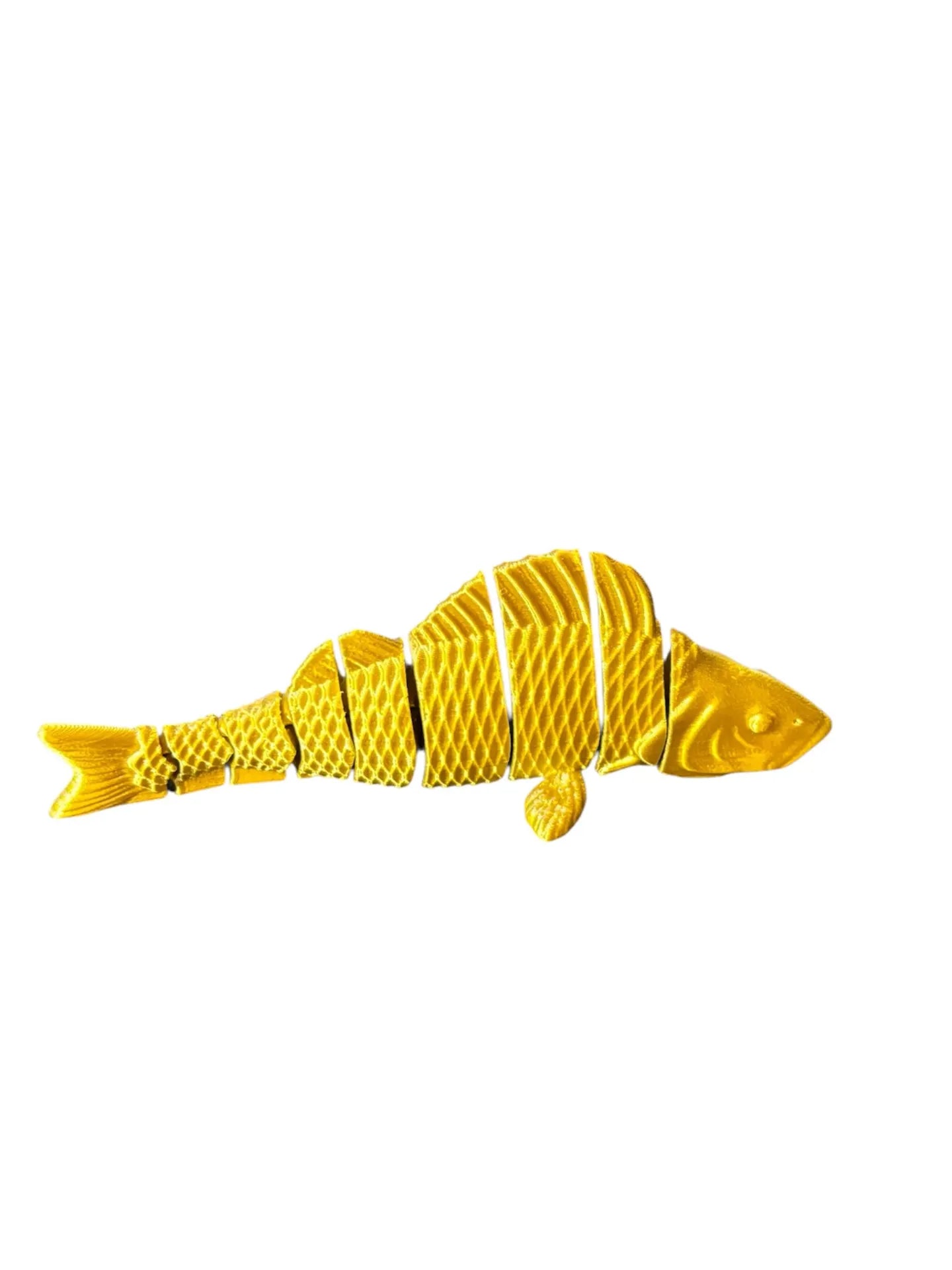 FishXplorer – 3D Flexi Perch