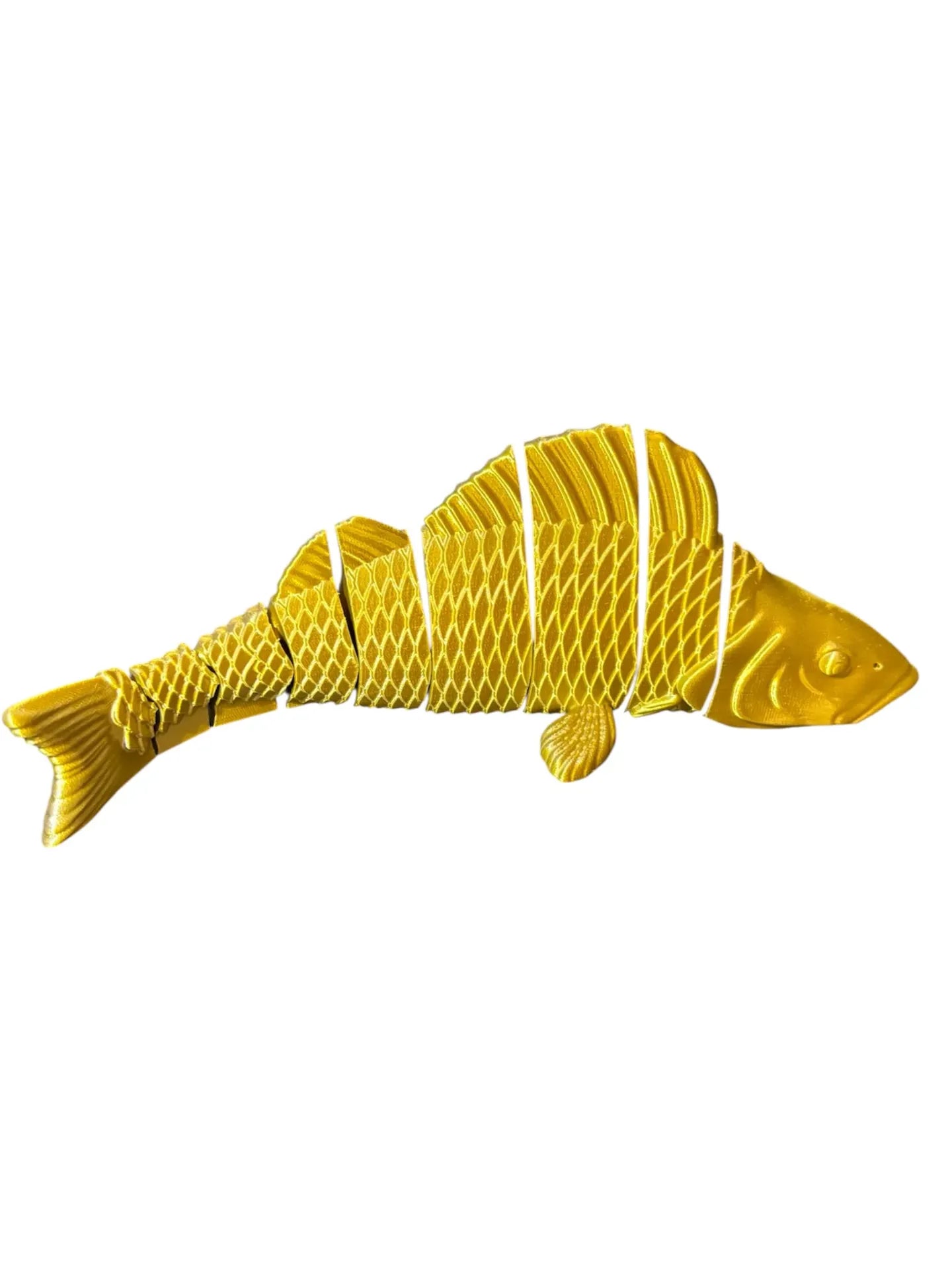 FishXplorer – 3D Flexi Perch