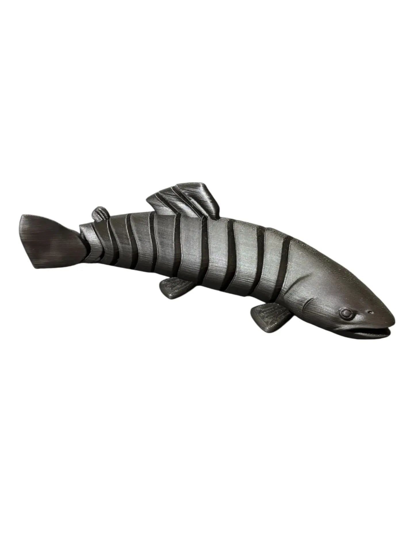 FishXplorer – 3D Flexi Trout