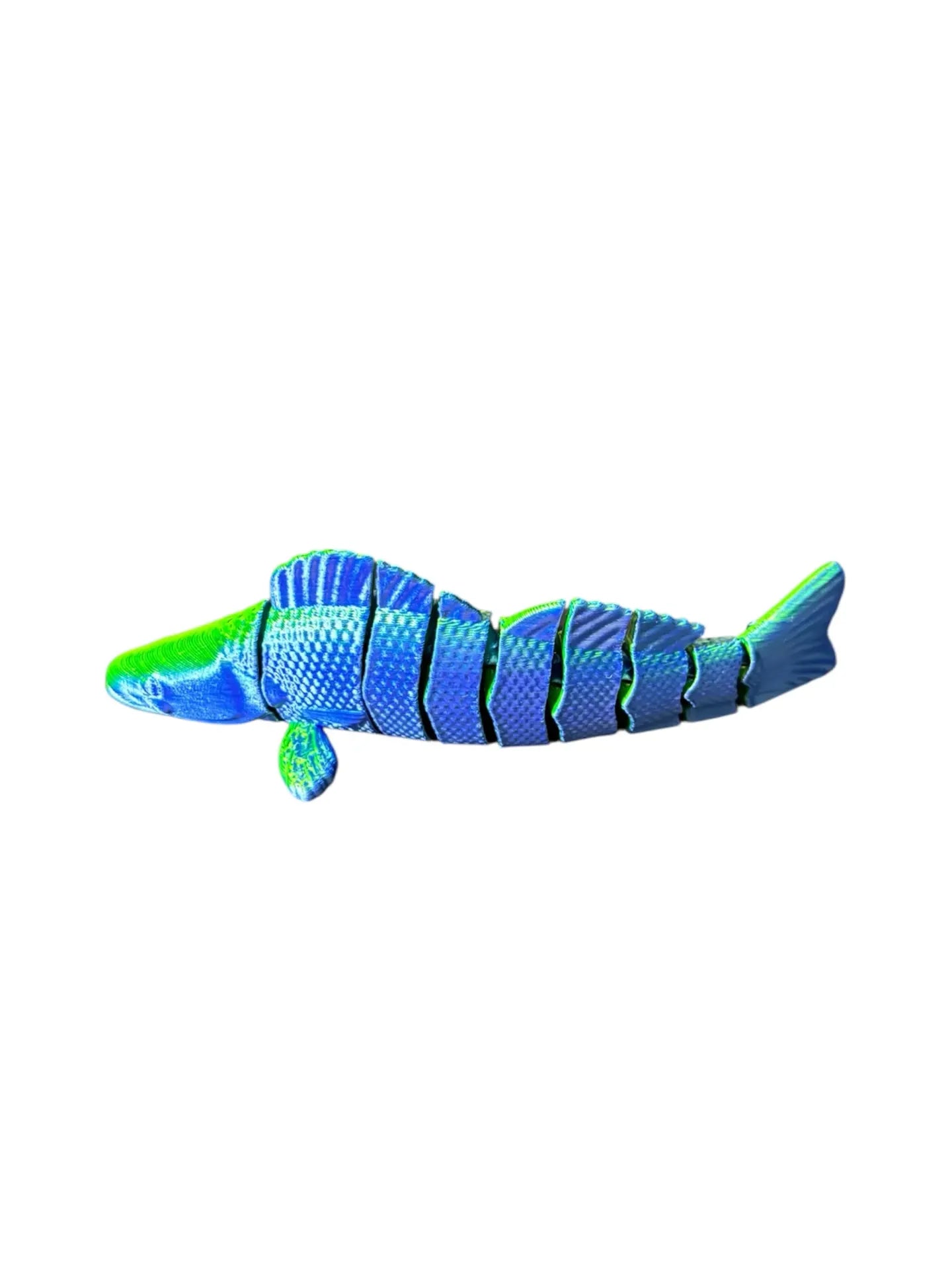 FishXplorer – 3D Flexi Zander