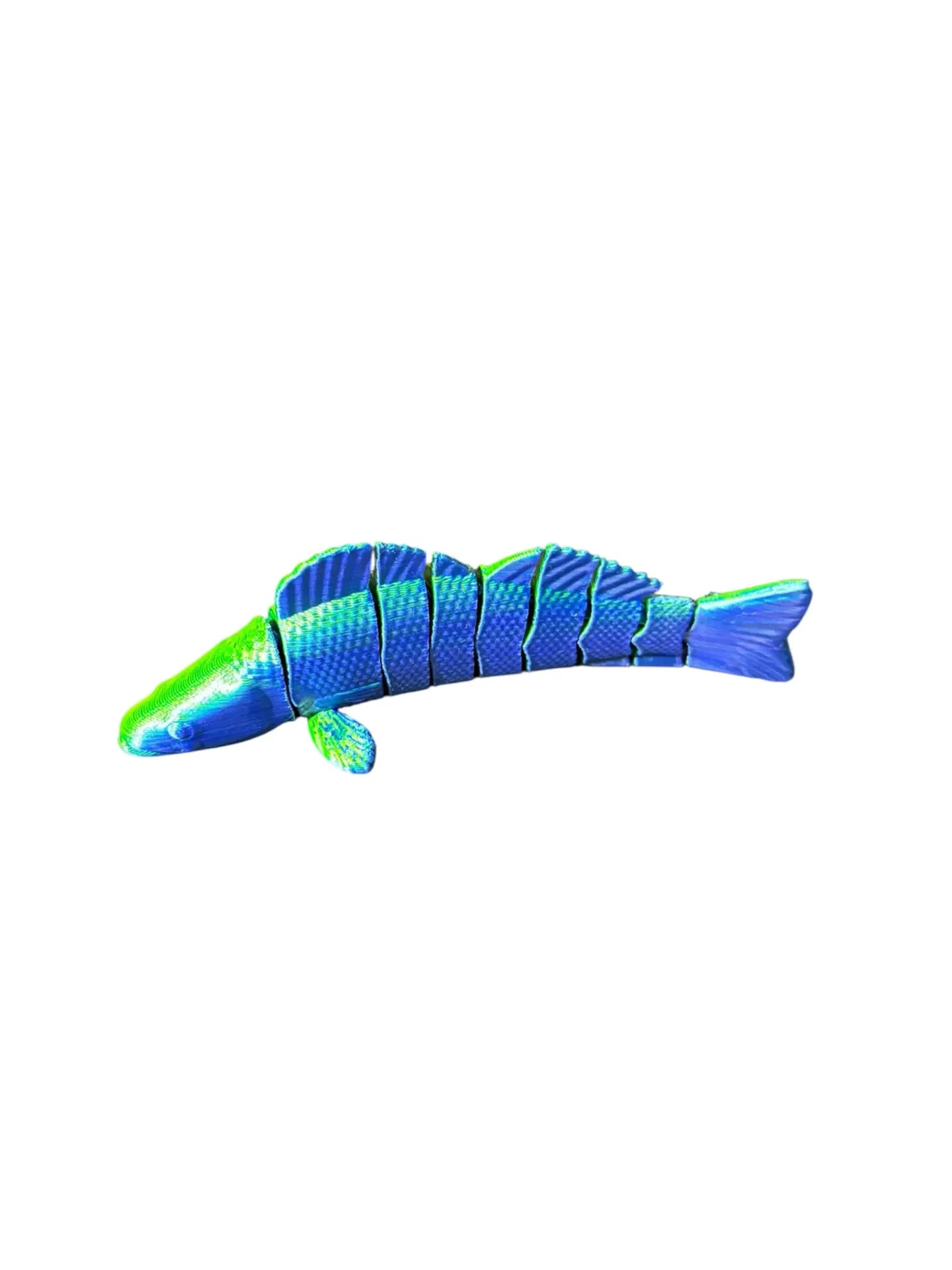 FishXplorer – 3D Flexi Zander