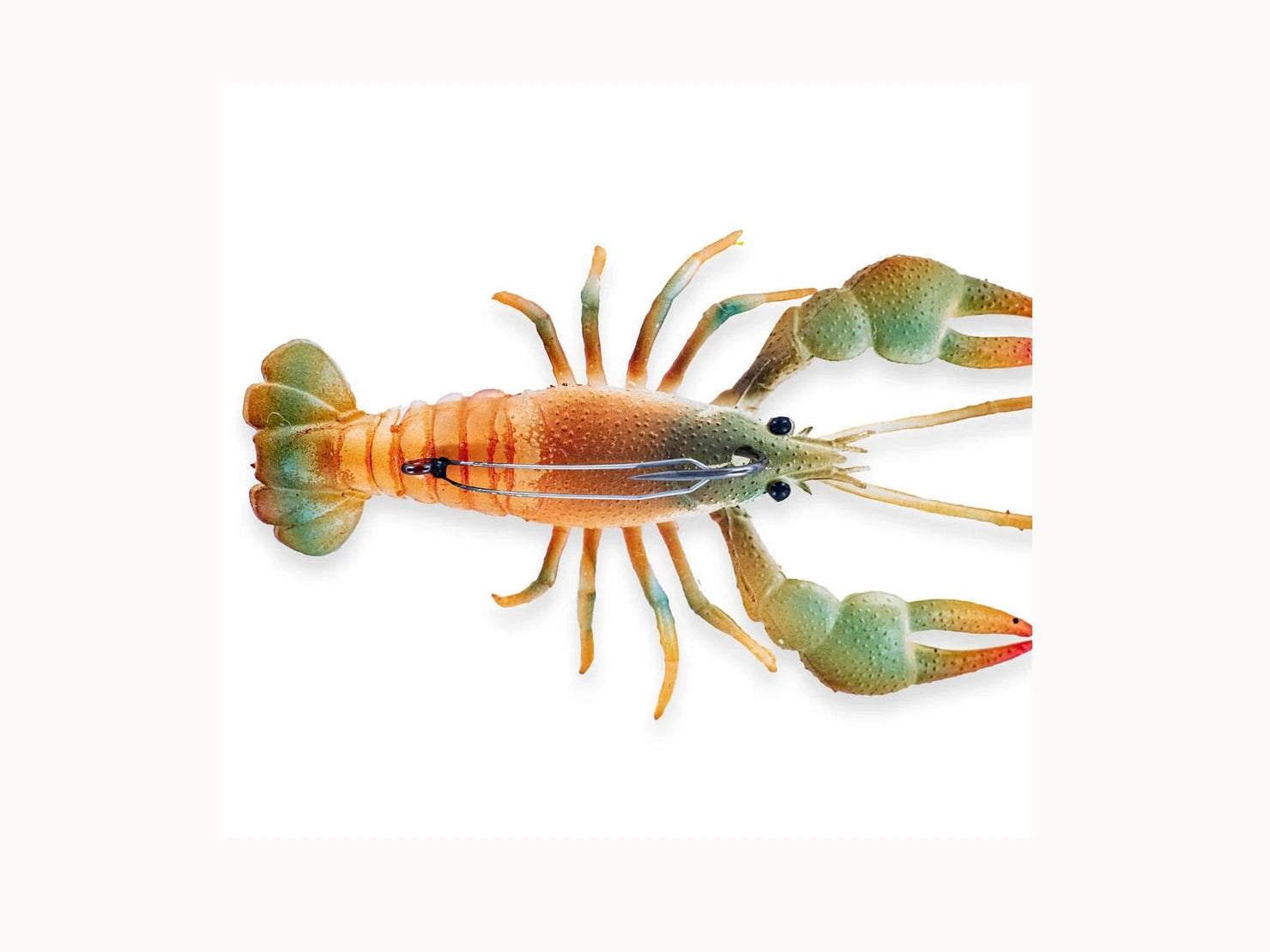 Chasebaits – The Mud Bug