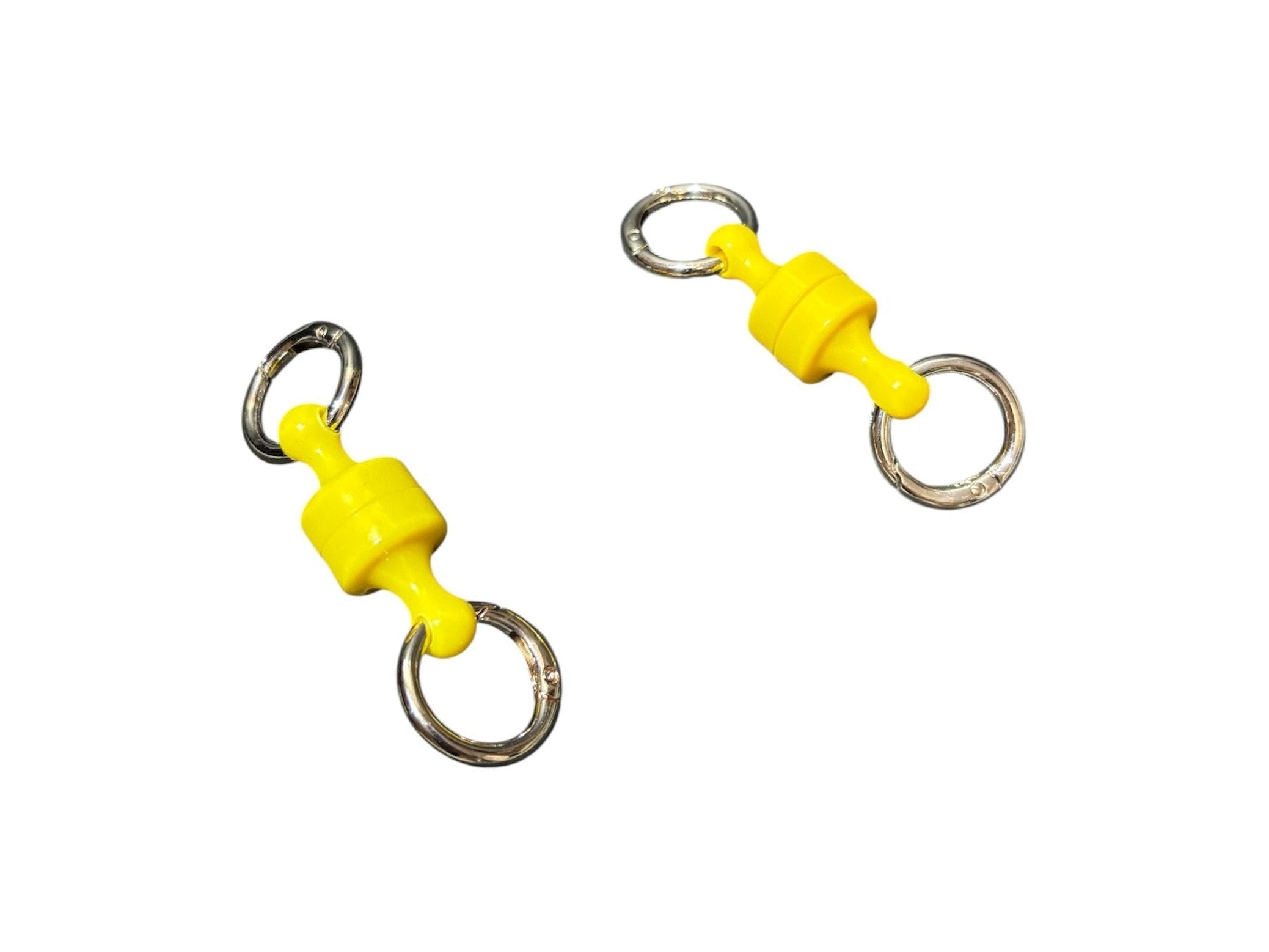 FishXplorer - X-Magnets Duo Pack