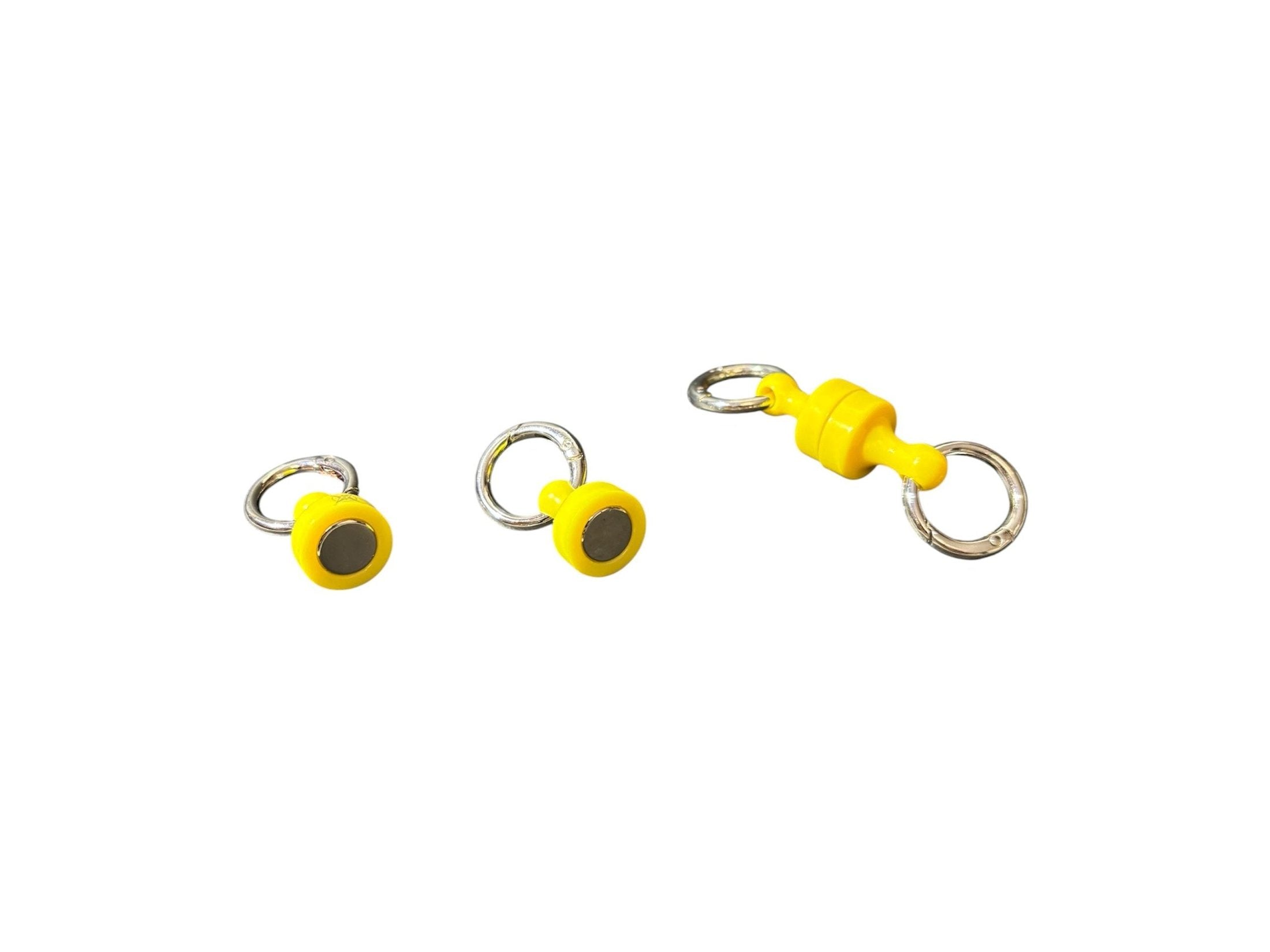 FishXplorer - X-Magnets Duo Pack