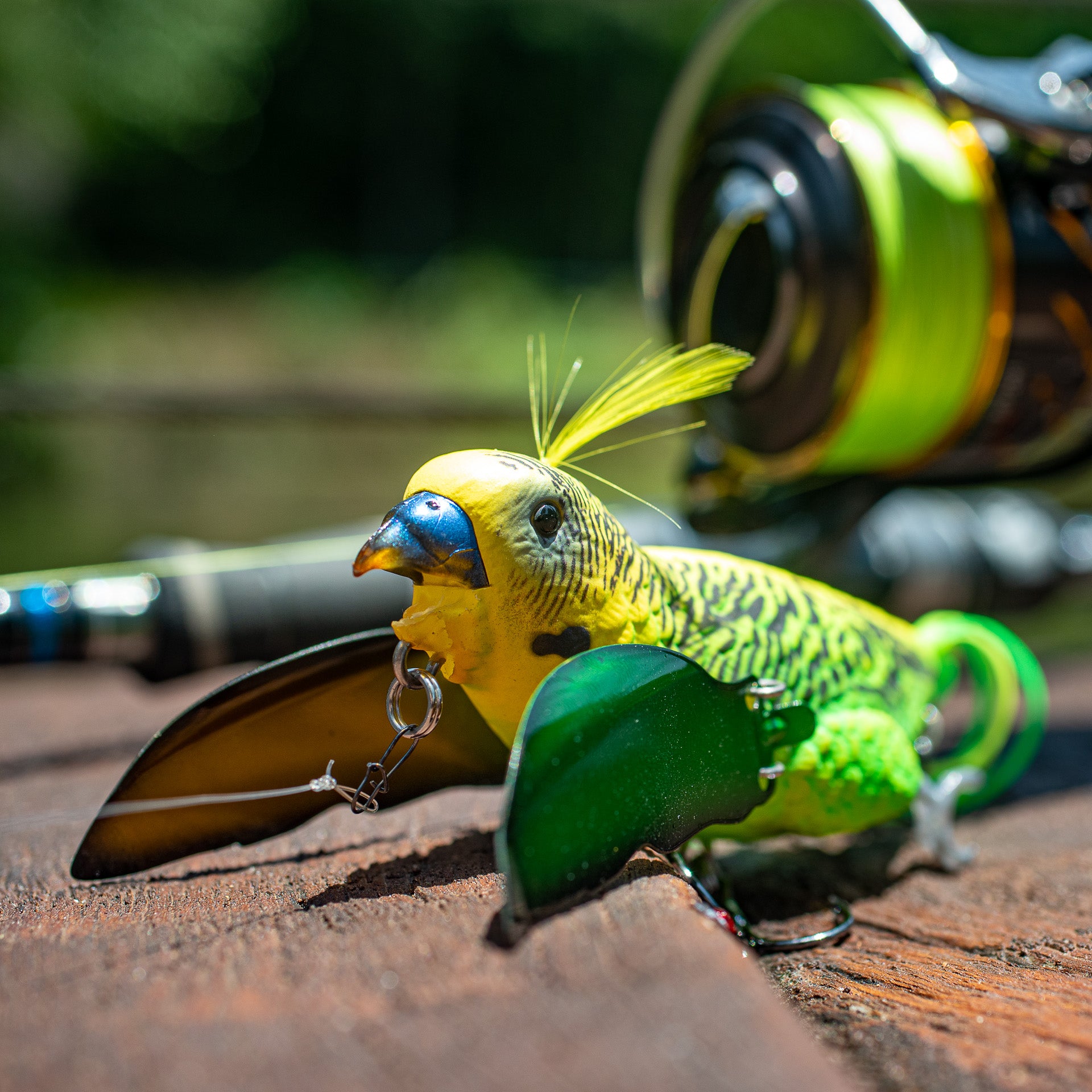 Chasebaits – The Smuggler