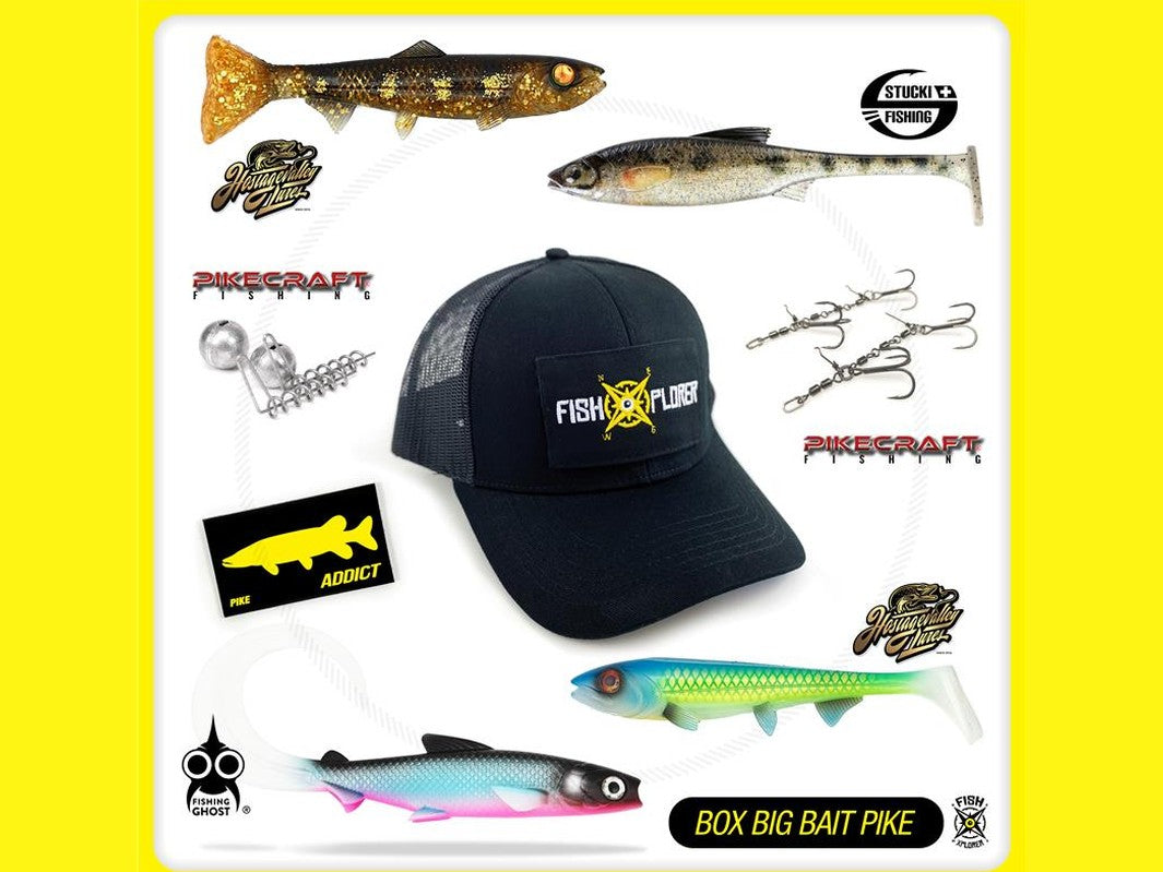 FishXplorer - Discovery Box Pike Addict Big Bait