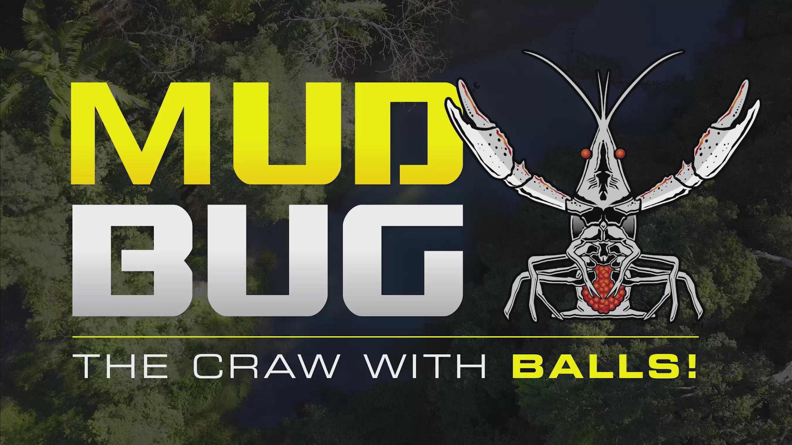 Chasebaits – The Mud Bug