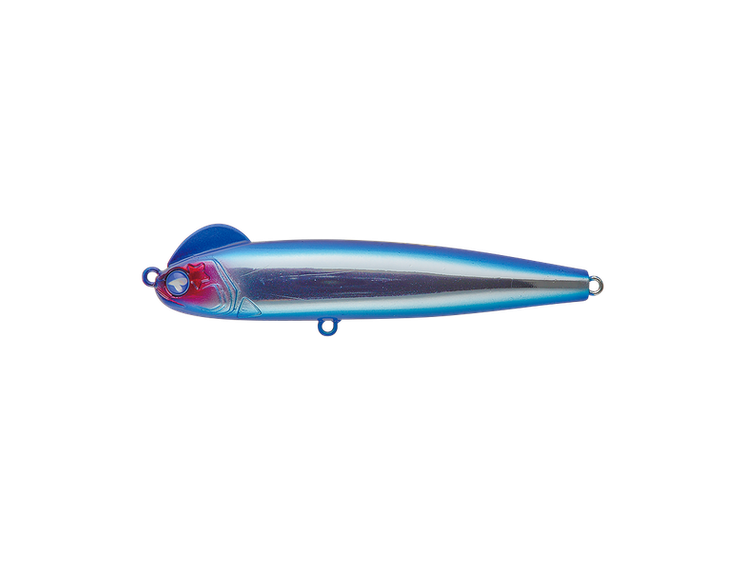 BlueBlue – Snecon